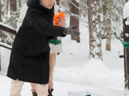 lastochka-01-2026- 100